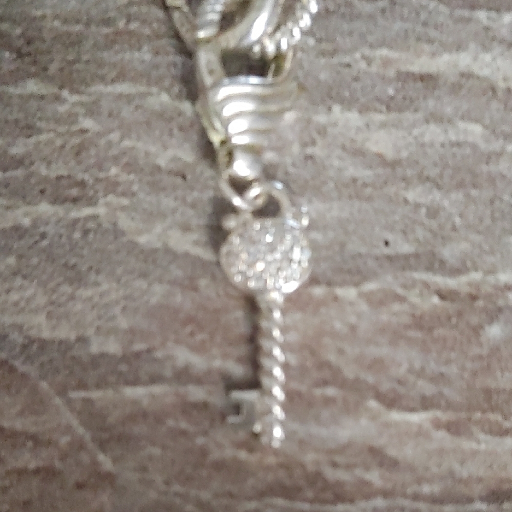 Judith Ripka Silver Rope Toggle Necklace - Picture 3 of 6